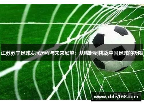 江苏苏宁足球发展历程与未来展望：从崛起到挑战中国足球的极限